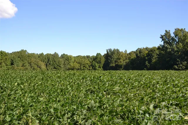 a view of a lush green space
