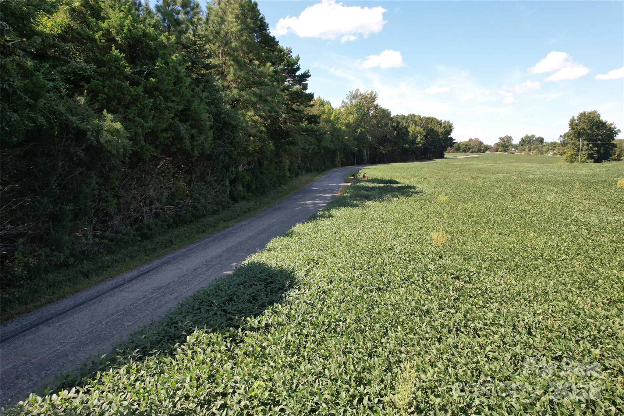 0 Belfield Road Lawrenceville, VA 23868 - Photo 6 of 34 a view of a back yard