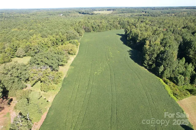a view of a lake with a mountain in the background