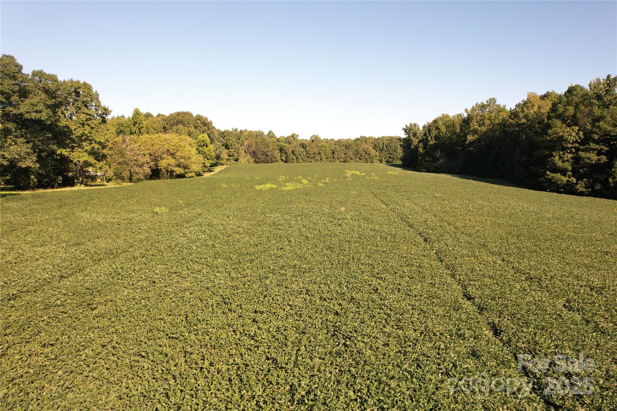 0 Belfield Road Lawrenceville, VA 23868 - Photo 9 of 34 a view of an ocean from a yard
