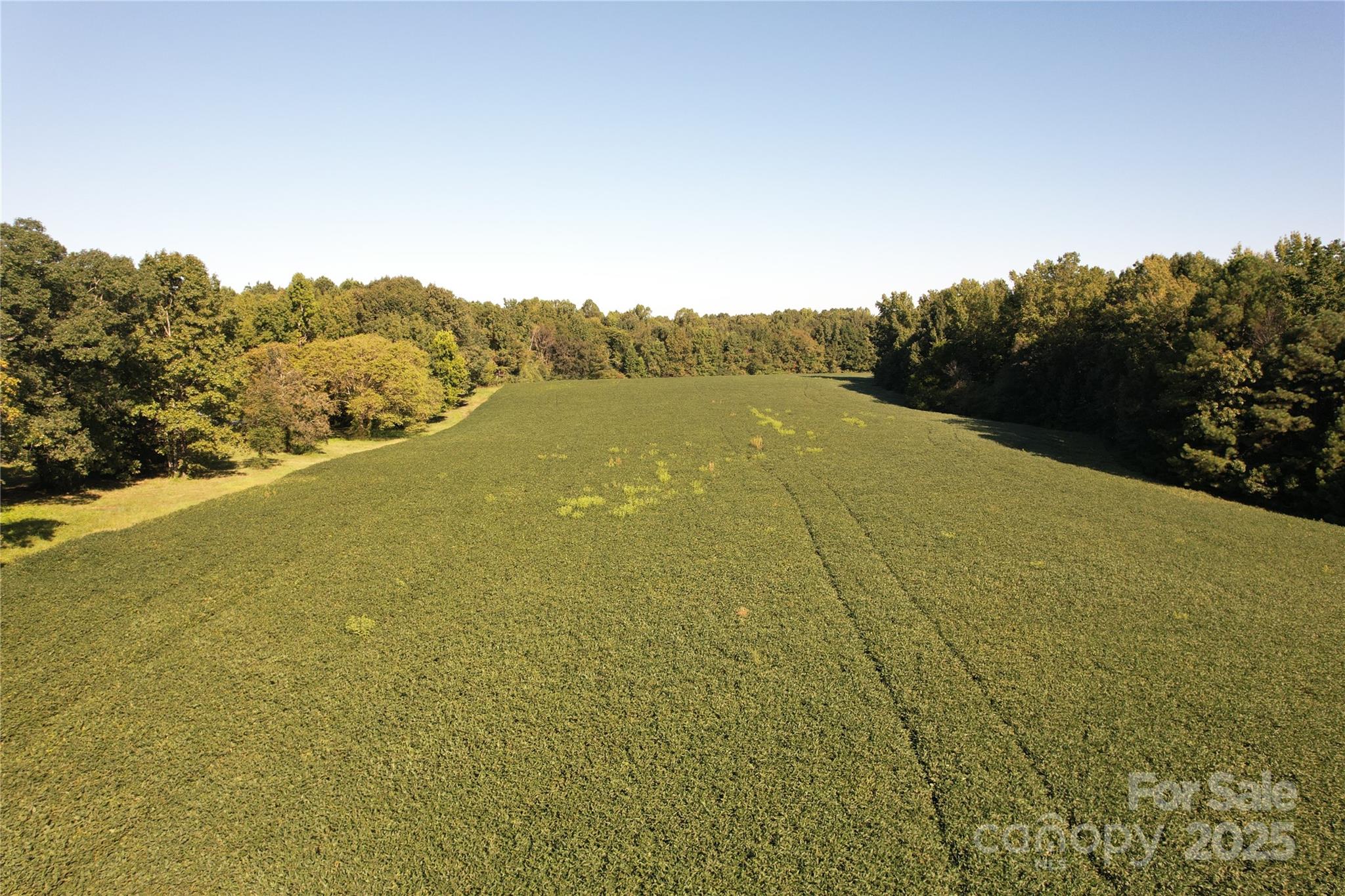0 Belfield Road Lawrenceville, VA 23868 - Photo 10 of 34 a view of a field with an ocean