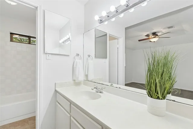a bathroom with a sink a potted plant and a mirror
