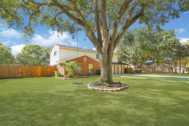 a view of a garden with a tree
