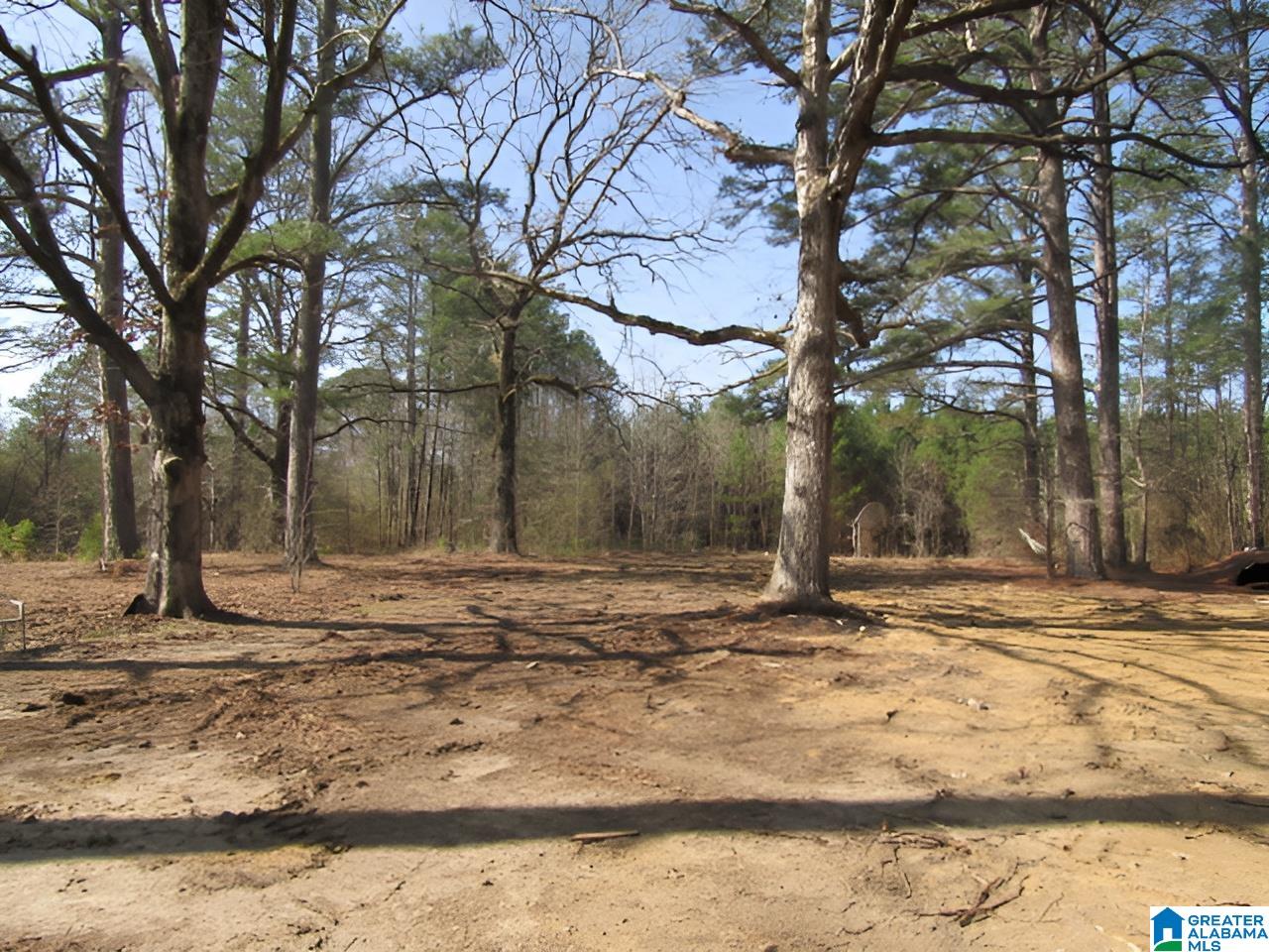 4429 Roy Webb Road Jacksonville, AL 36265 - Photo 22 of 26