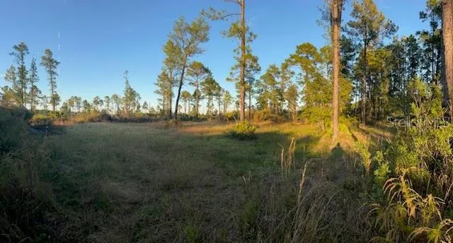 a view of outdoor space and yard