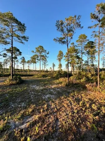 a view of a yard with a tree