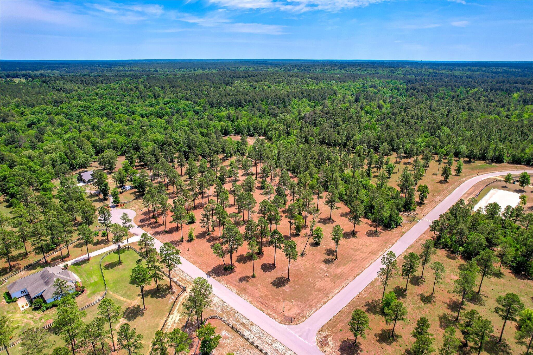Lot 19 Rembert Place Aiken, SC 29803 - Photo 2 of 10 Gallery Image 2