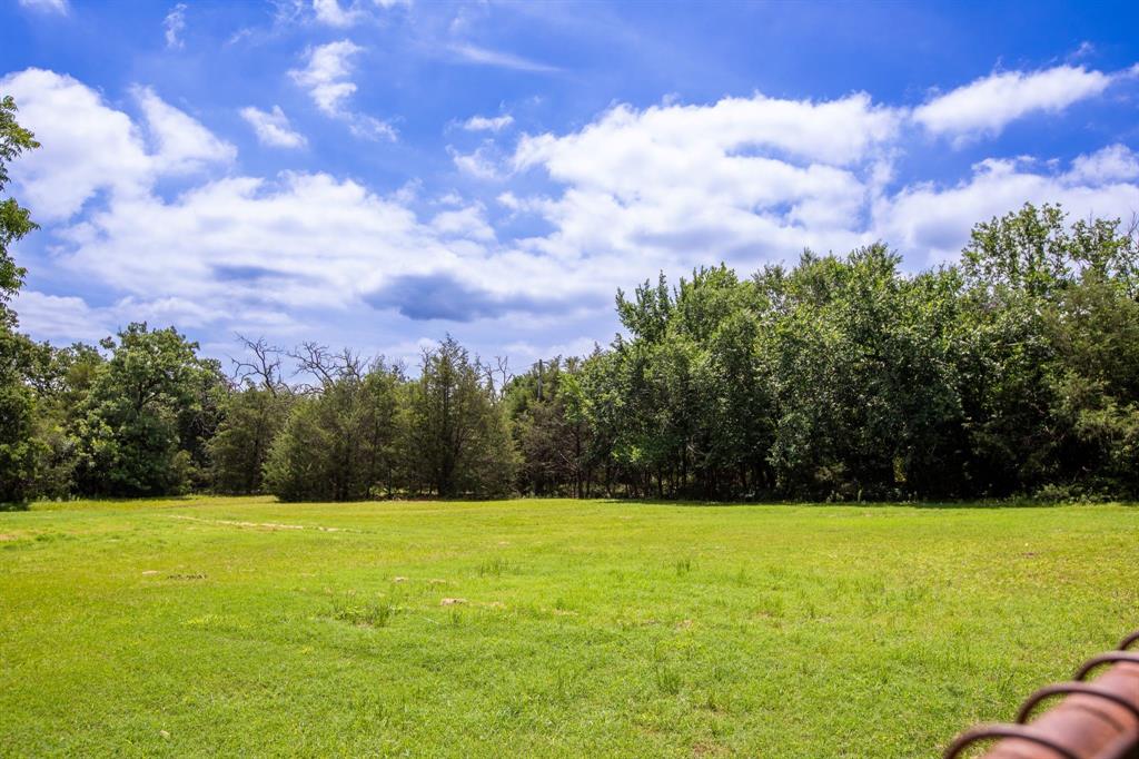 trees and a view of countryside