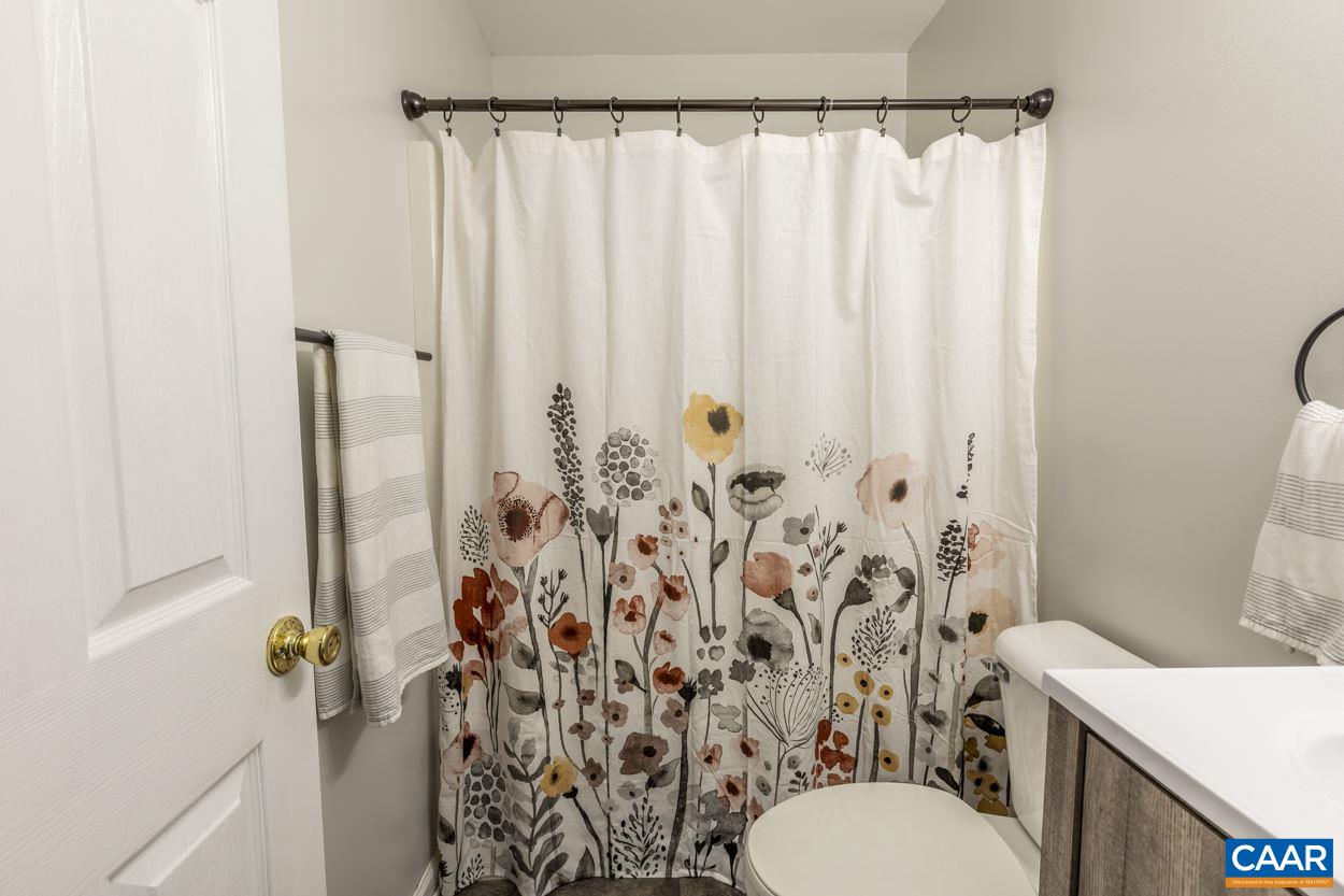 4567 Blenheim Road Charlottesville, VA 22902 - Photo 27 of 45 Gallery Image 27
