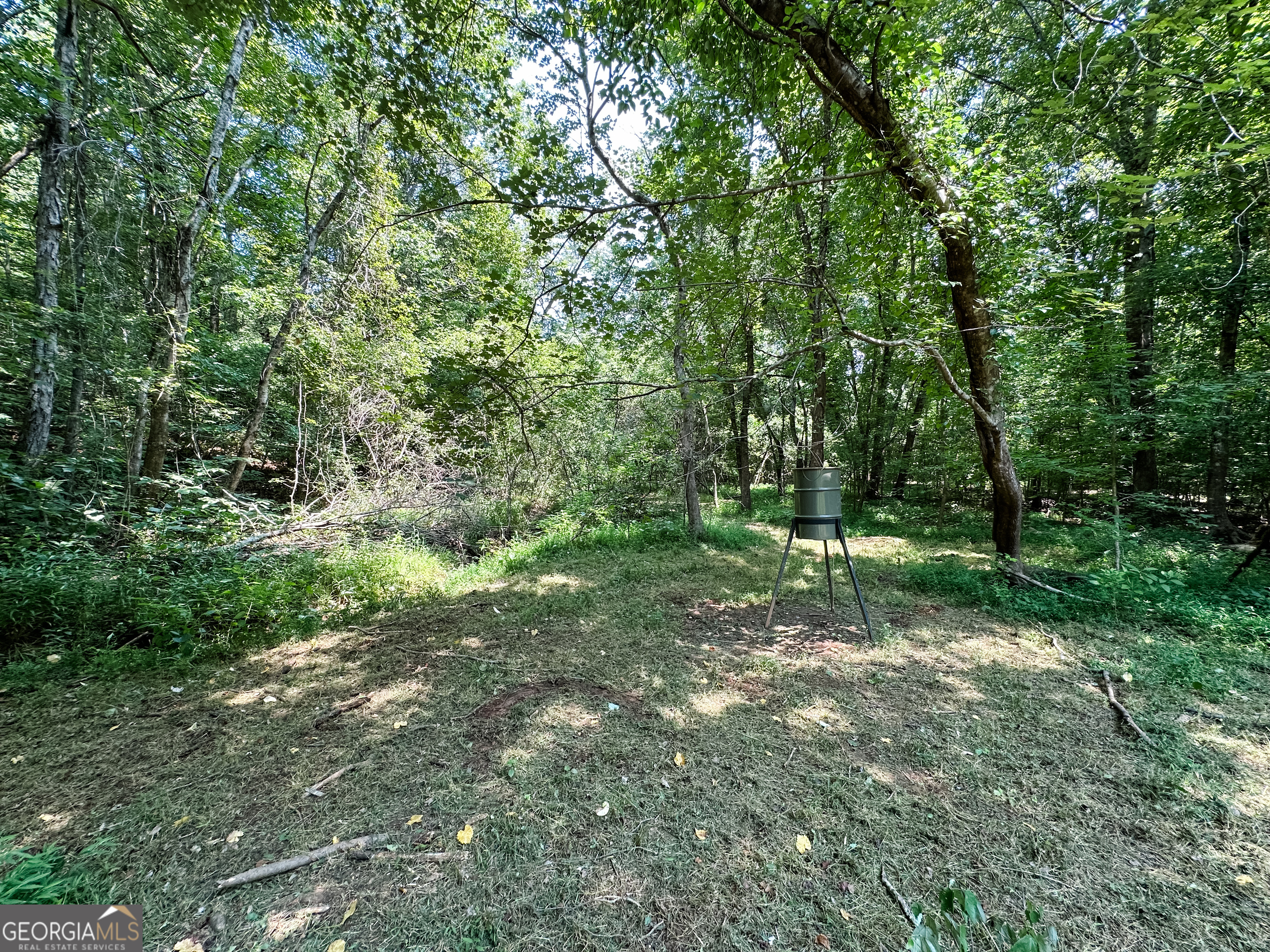 0 Jordan Road, Unit 17 79 ACRES Monticello, GA 31064 - Photo 33 of 38 Gallery Image 33