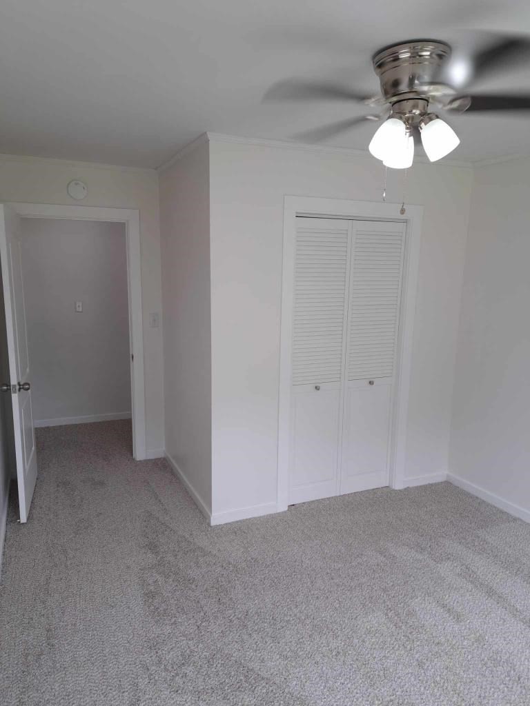 204 Fairgrounds Road Paris, TN 38242 - Photo 8 of 20 Gallery Image 8