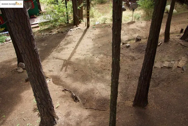 a view of a city with lush green forest