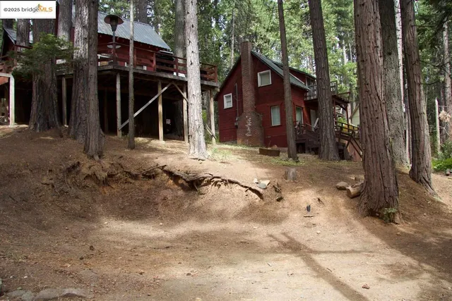 a view of a city with lush green forest