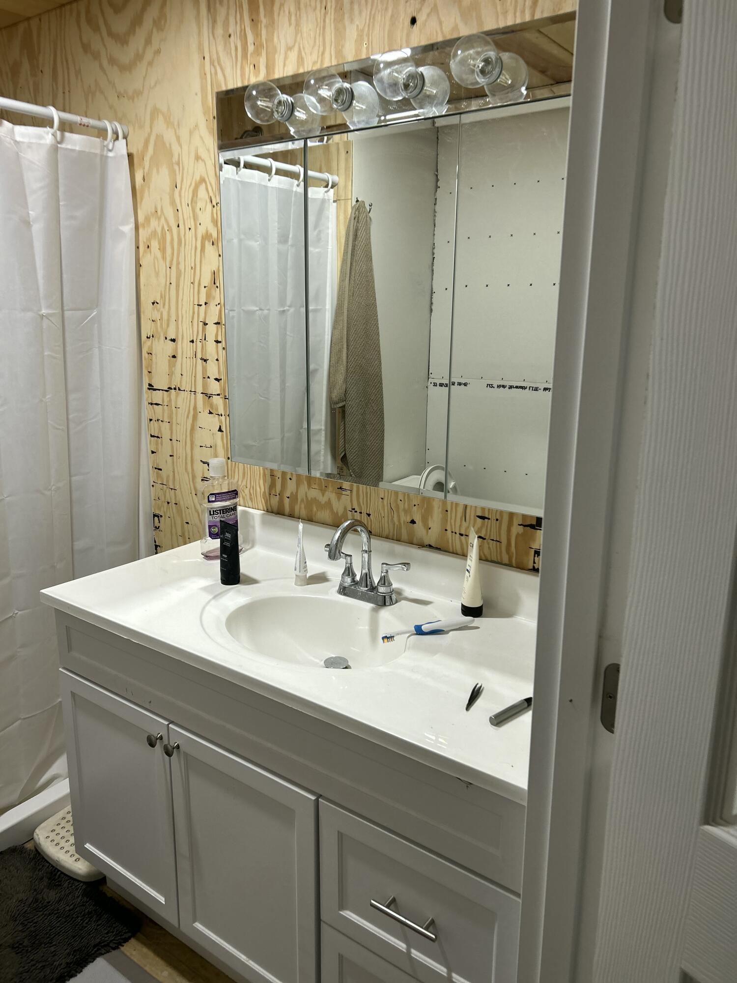 54252 North Ironwood Road South Bend, IN 46635 - Photo 13 of 21 a bathroom with a sink and mirror