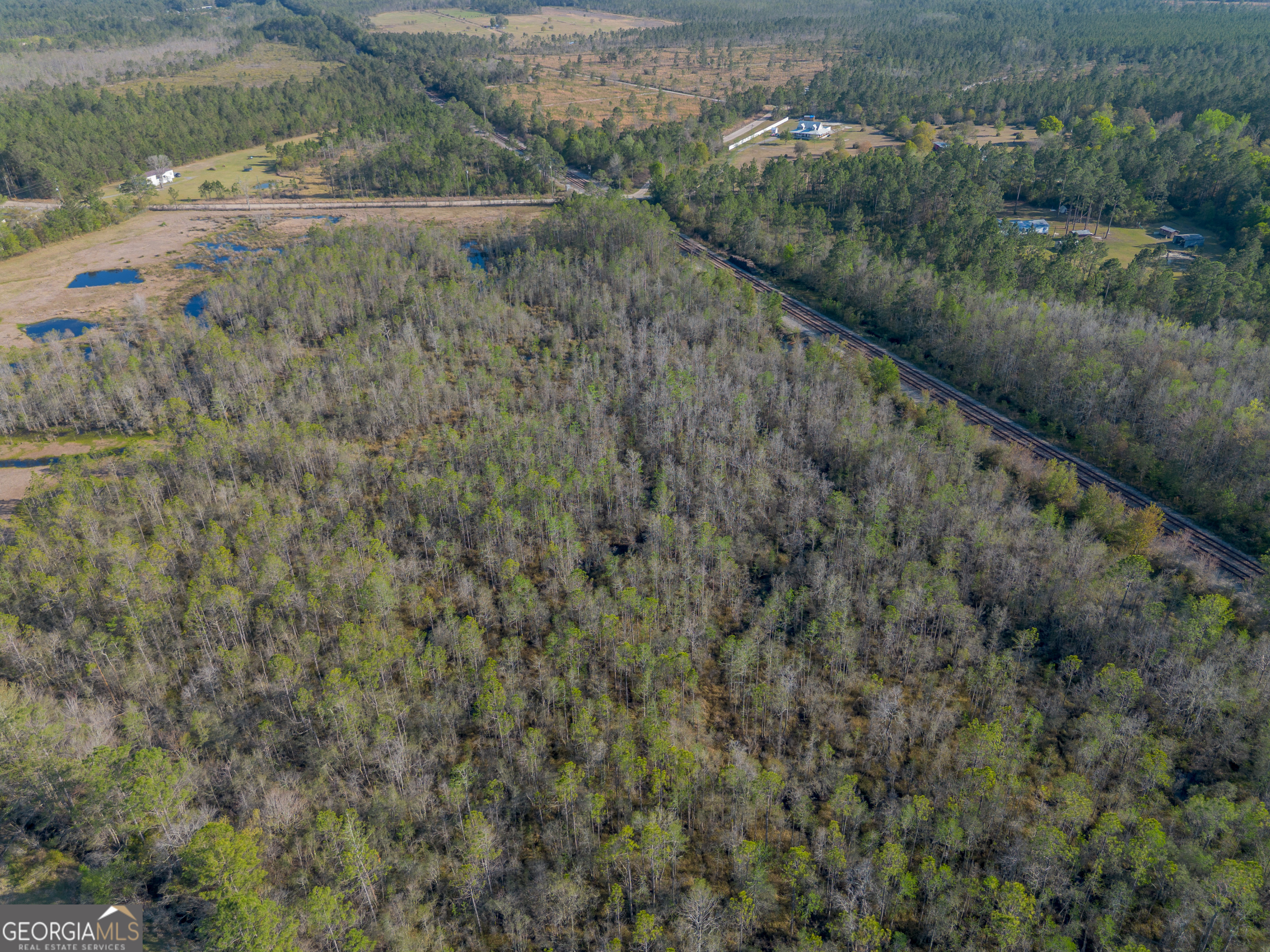 3300 Connor Lane Waycross, GA 31503 - Photo 17 of 42 a view of a forest with a yard