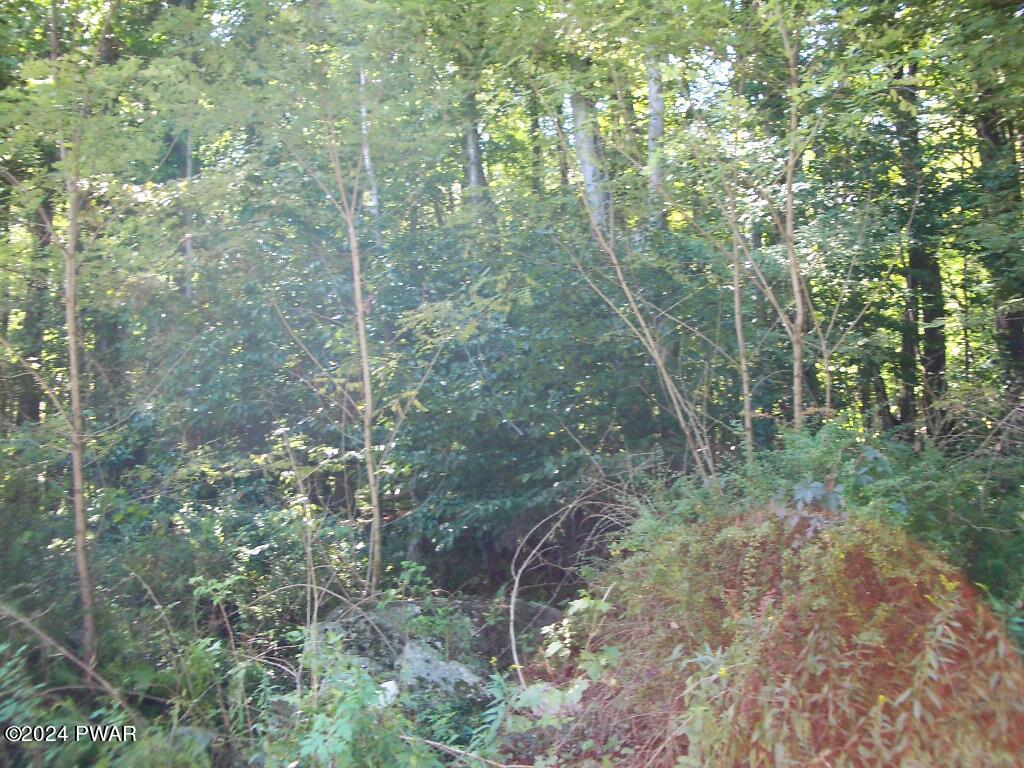 Lot 3 Gilpin Road Newfoundland, PA 18445 - Photo 3 of 5