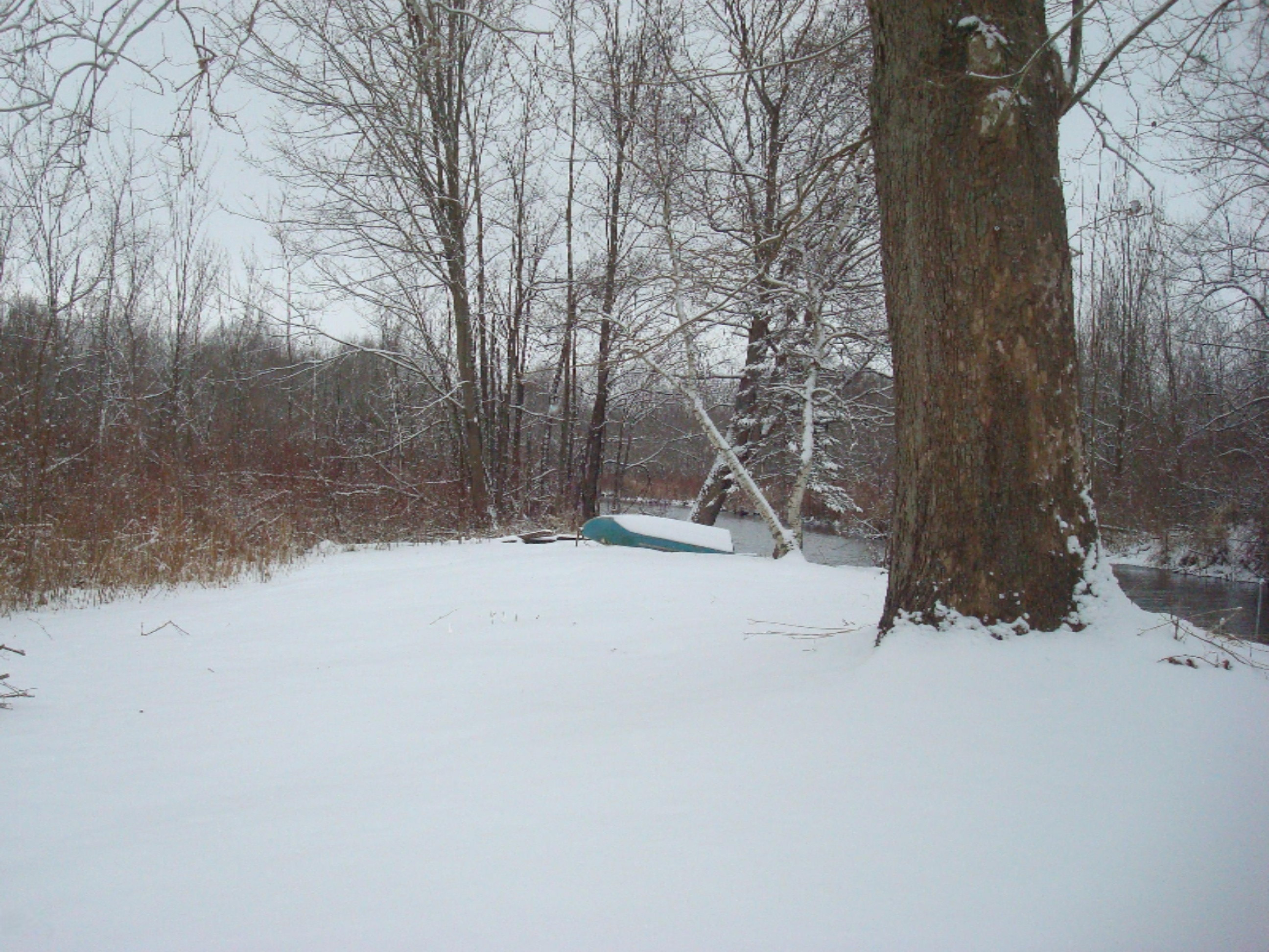 160 Rapp Drive Quincy, MI 49082 - Photo 47 of 55 9137-26 (4)