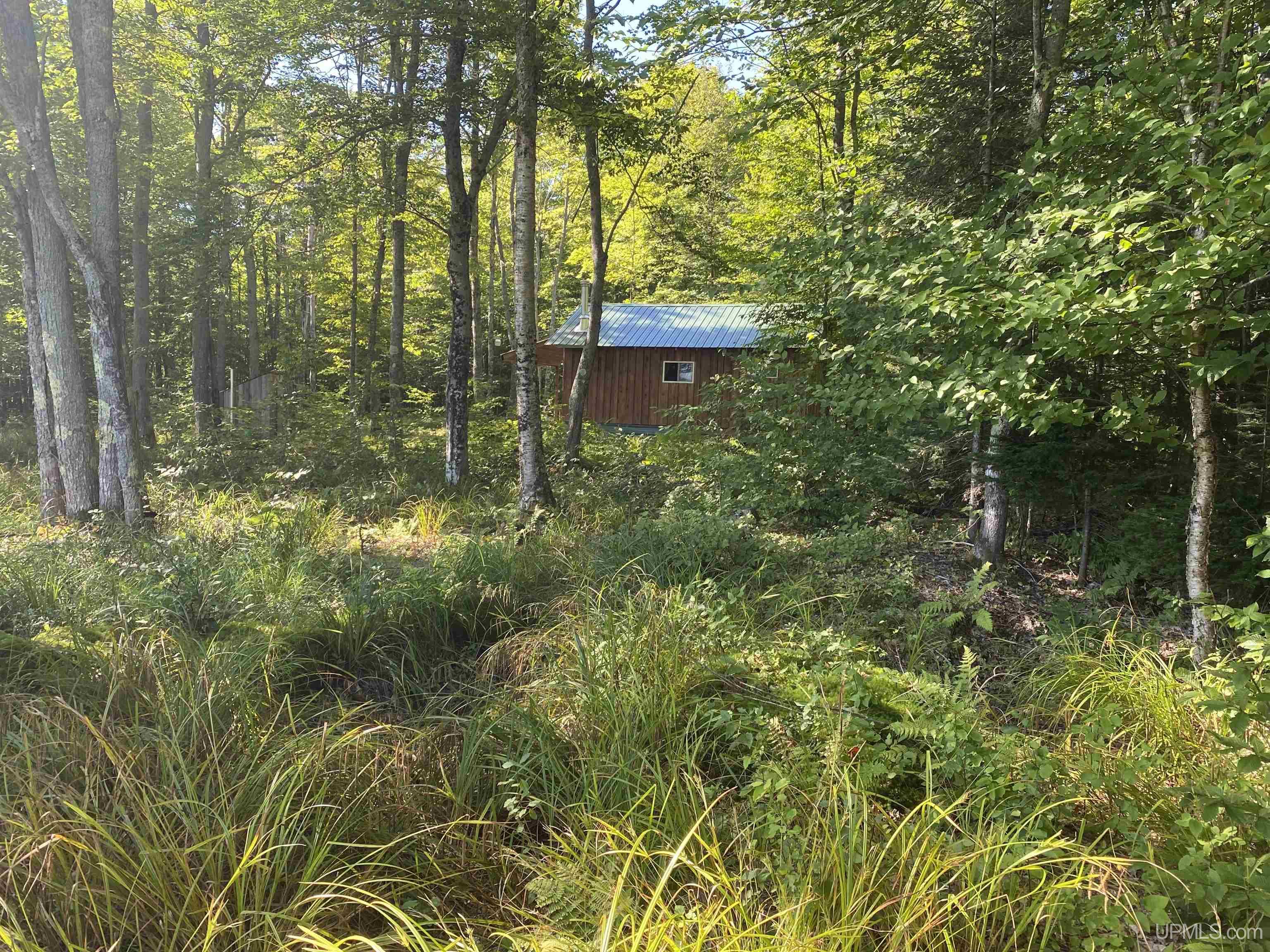 Tbd South Tbd S Sundell Road Chatham, MI 49816 - Photo 23 of 24
