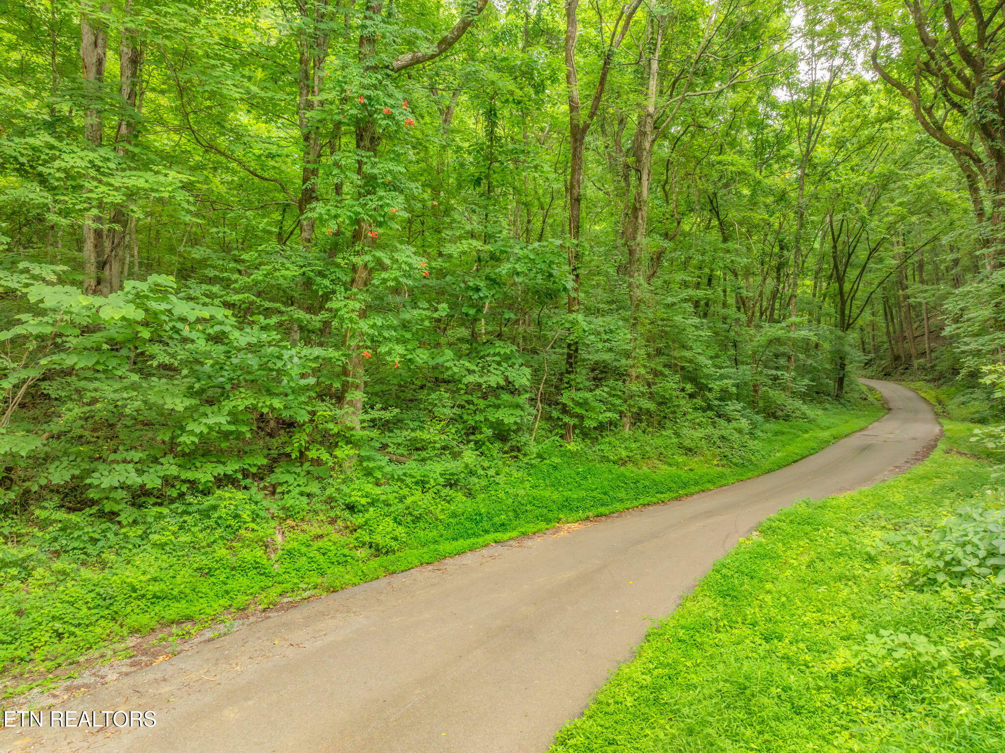 Dunville Gap Road Rutledge, TN 37861 - Photo 13 of 20 14-web-or-mls-Dunville Gap Road-16