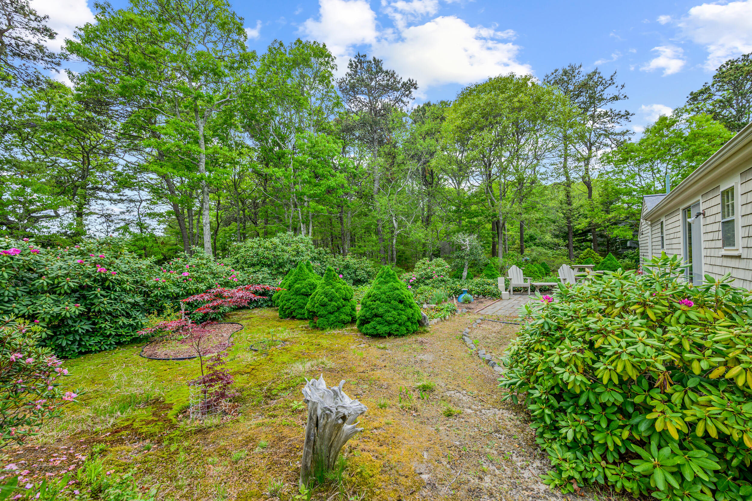 59 Beverly Road West Yarmouth, MA 02673 - Photo 3 of 33 a view of a yard with plants and large trees