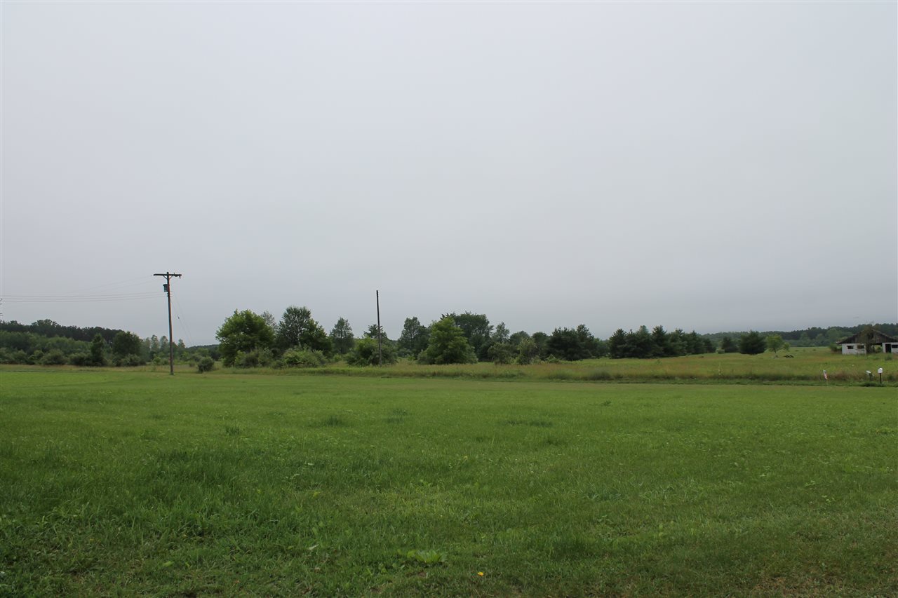 3333 Wilson Creek Road Whittemore, MI 48770 - Photo 20 of 24 1835560-20.JPG
