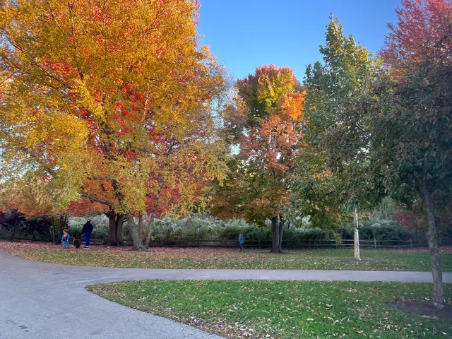 $310,000 | 2201 West Winona Street, Unit G, Chicago, IL 60625