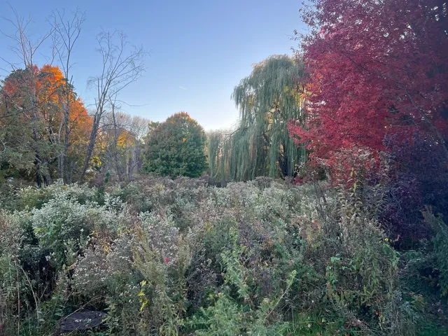 $310,000 | 2201 West Winona Street, Unit G, Chicago, IL 60625