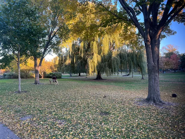 $310,000 | 2201 West Winona Street, Unit G, Chicago, IL 60625