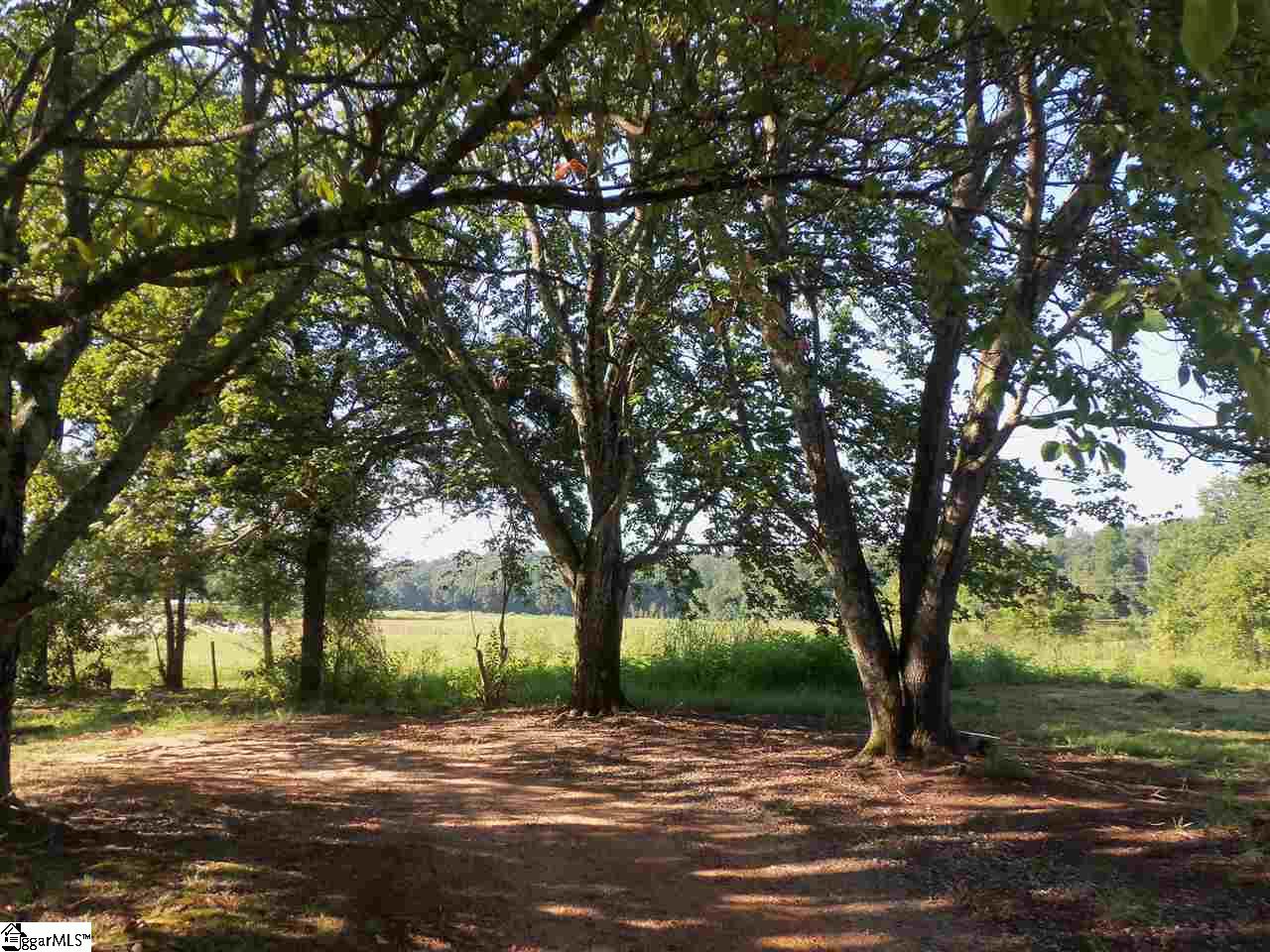 575 Gum Springs Road Taylors, SC 29687 - Photo 29 of 33