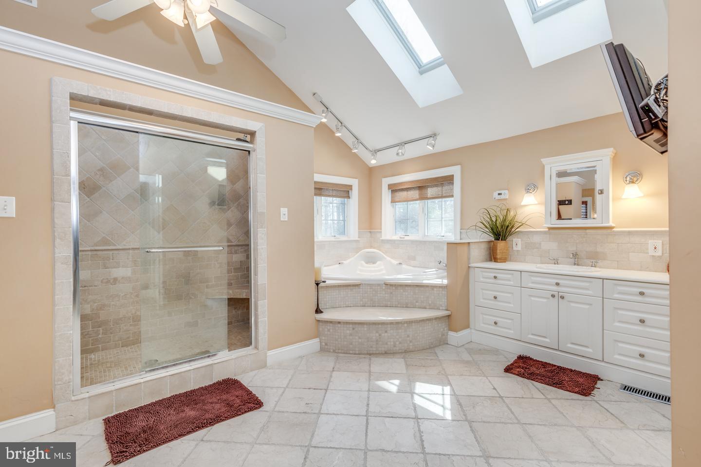 14 Partridge Court Cherry Hill, NJ 08003 - Photo 40 of 65 Master bath with skylights