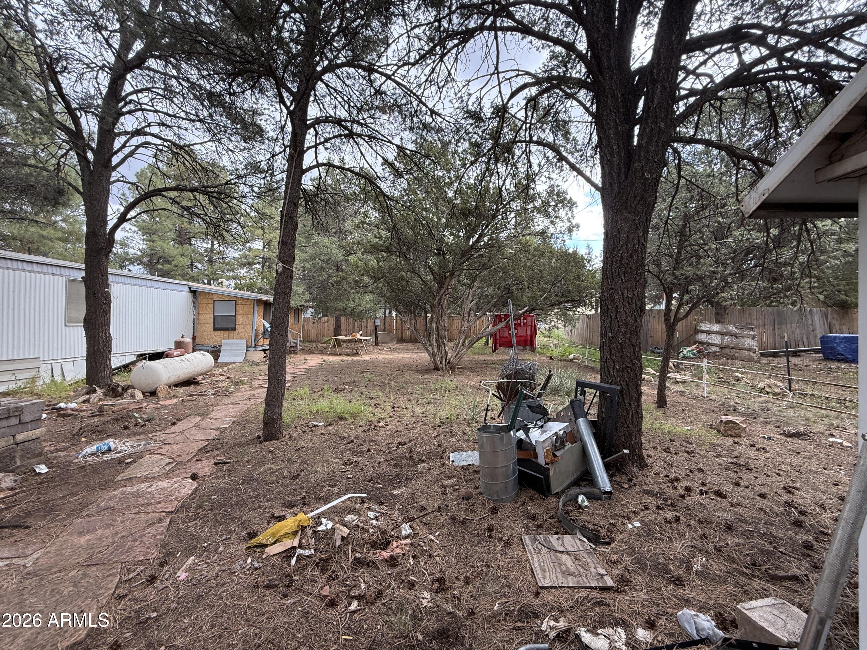 2953 Wildcat Trail Overgaard, AZ 85933 - Photo 16 of 22 a view of a yard with a tree and a table