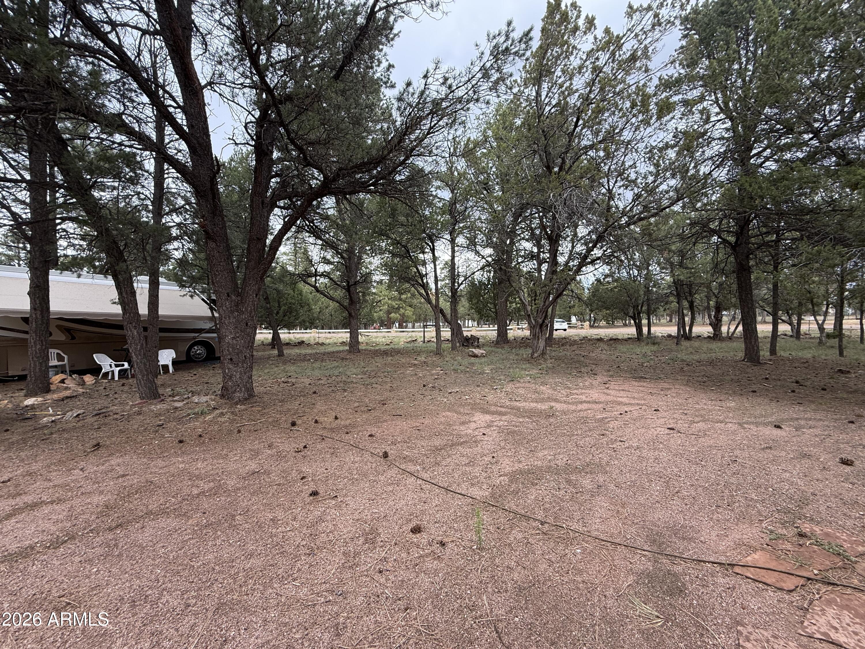 2953 Wildcat Trail Overgaard, AZ 85933 - Photo 19 of 22 a view of outdoor space with trees
