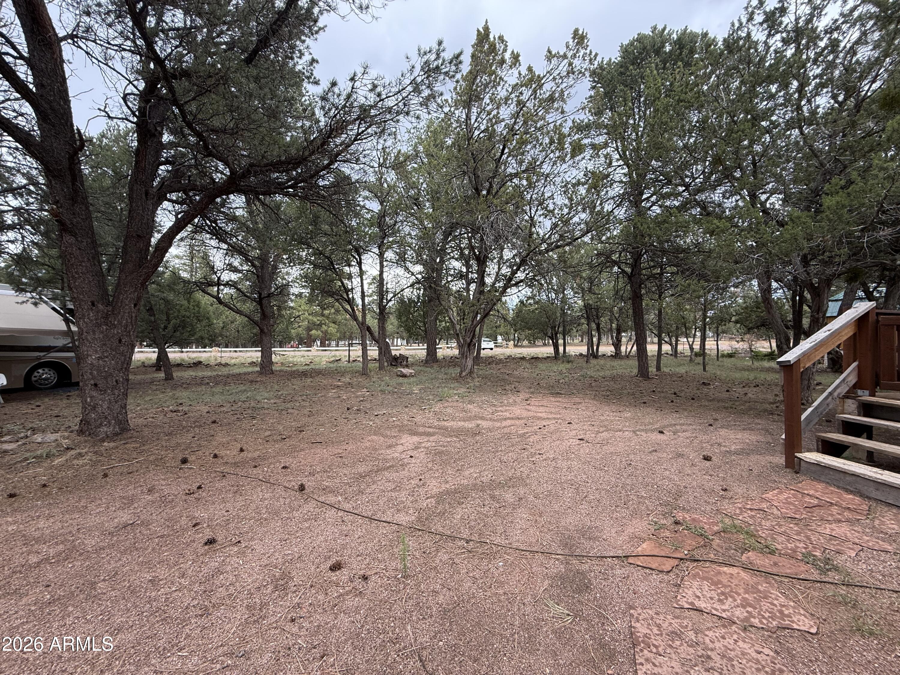 2953 Wildcat Trail Overgaard, AZ 85933 - Photo 20 of 22 a view of outdoor space with trees