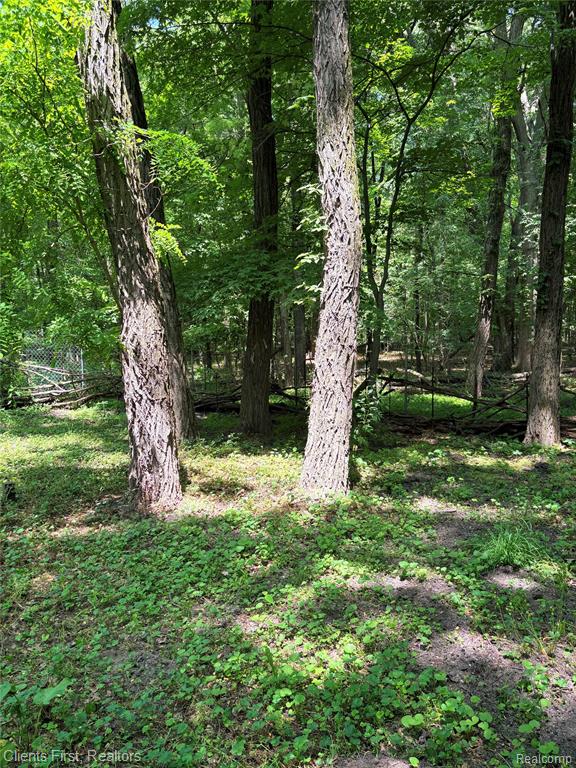 5844 Crandall Road Howell, MI 48855 - Photo 47 of 52