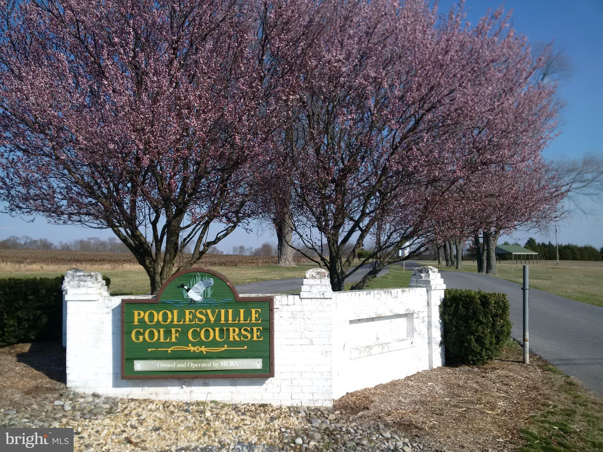17205 Spates Hill Road Poolesville, MD 20837 - Photo 52 of 59 Your new club for golf!