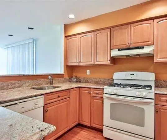 a view of a garden with a fountain and plants