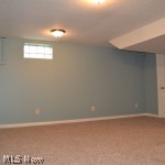 1685 Brittain Road Akron, OH 44310 - Photo 13 of 19