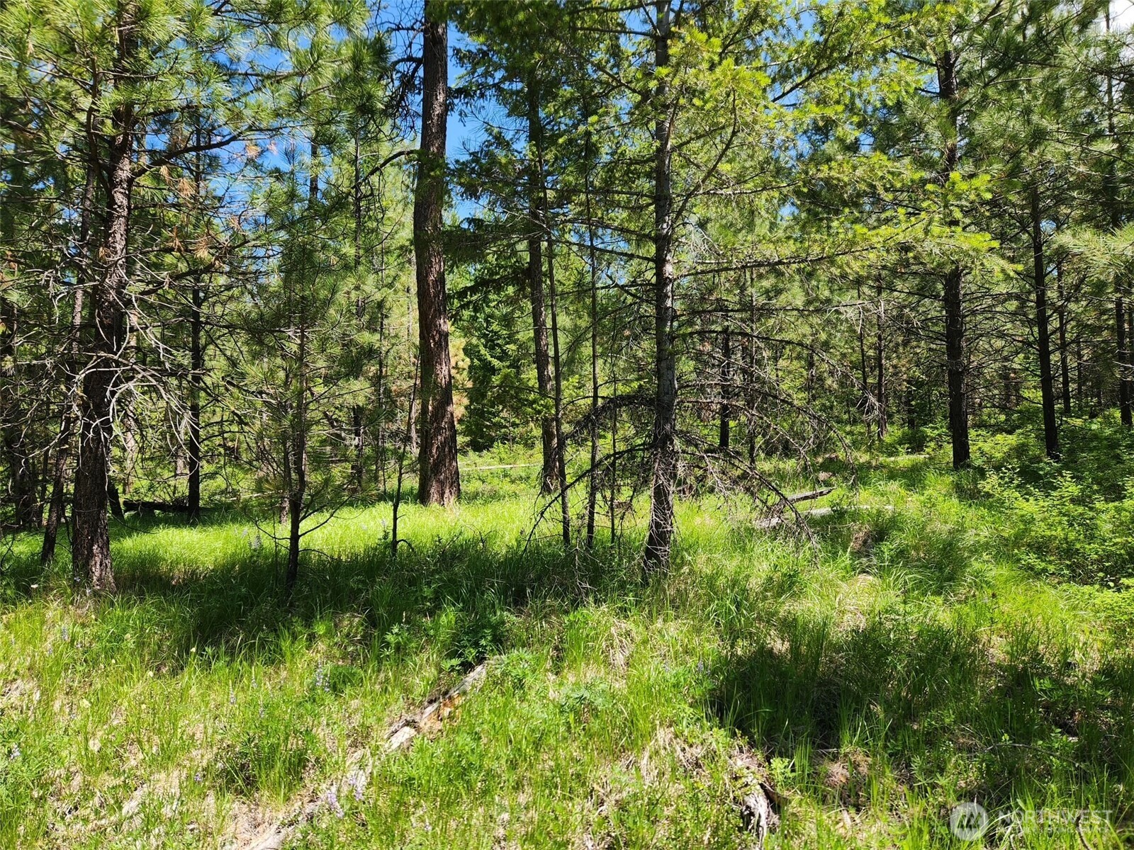 30 22 Wild Turkey Lane Riverside, WA 98849 - Photo 15 of 29 Gallery Image 15