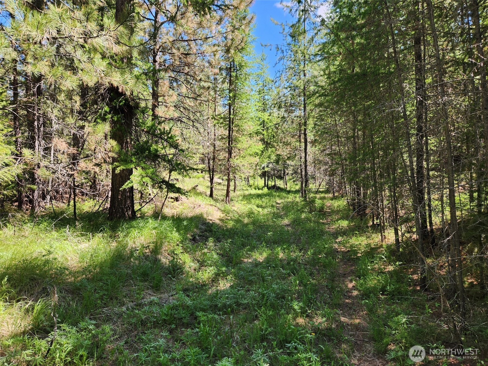 30 22 Wild Turkey Lane Riverside, WA 98849 - Photo 24 of 29 Gallery Image 24