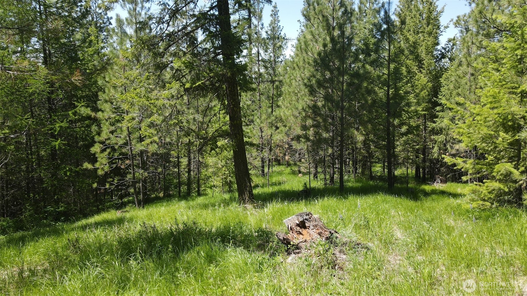 30 22 Wild Turkey Lane Riverside, WA 98849 - Photo 8 of 29 Gallery Image 8