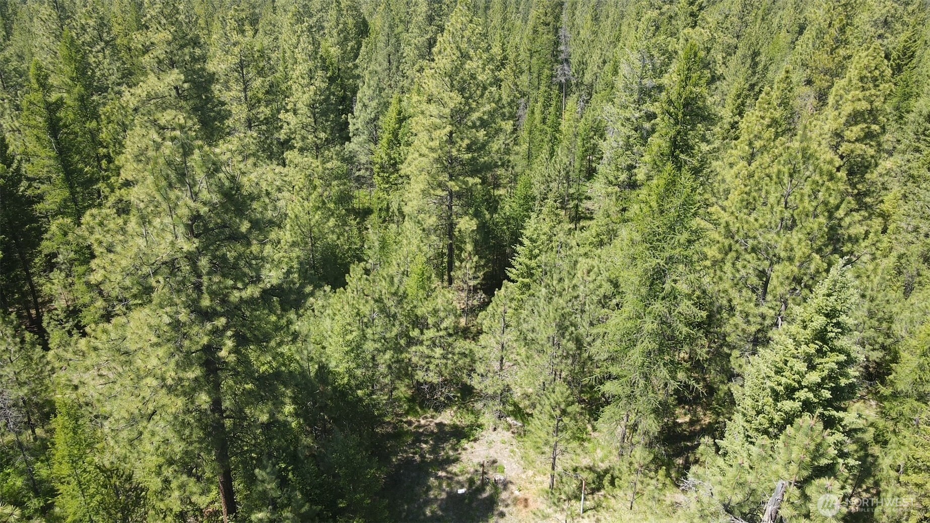 30 22 Wild Turkey Lane Riverside, WA 98849 - Photo 9 of 29 Gallery Image 9