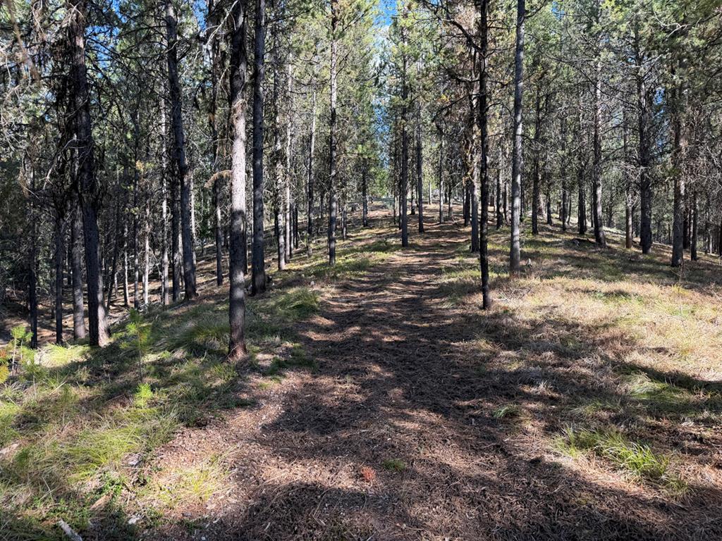 211 Pointes Road, Unit 26 Cascade, ID 83611 - Photo 18 of 22 Pathway to Lake