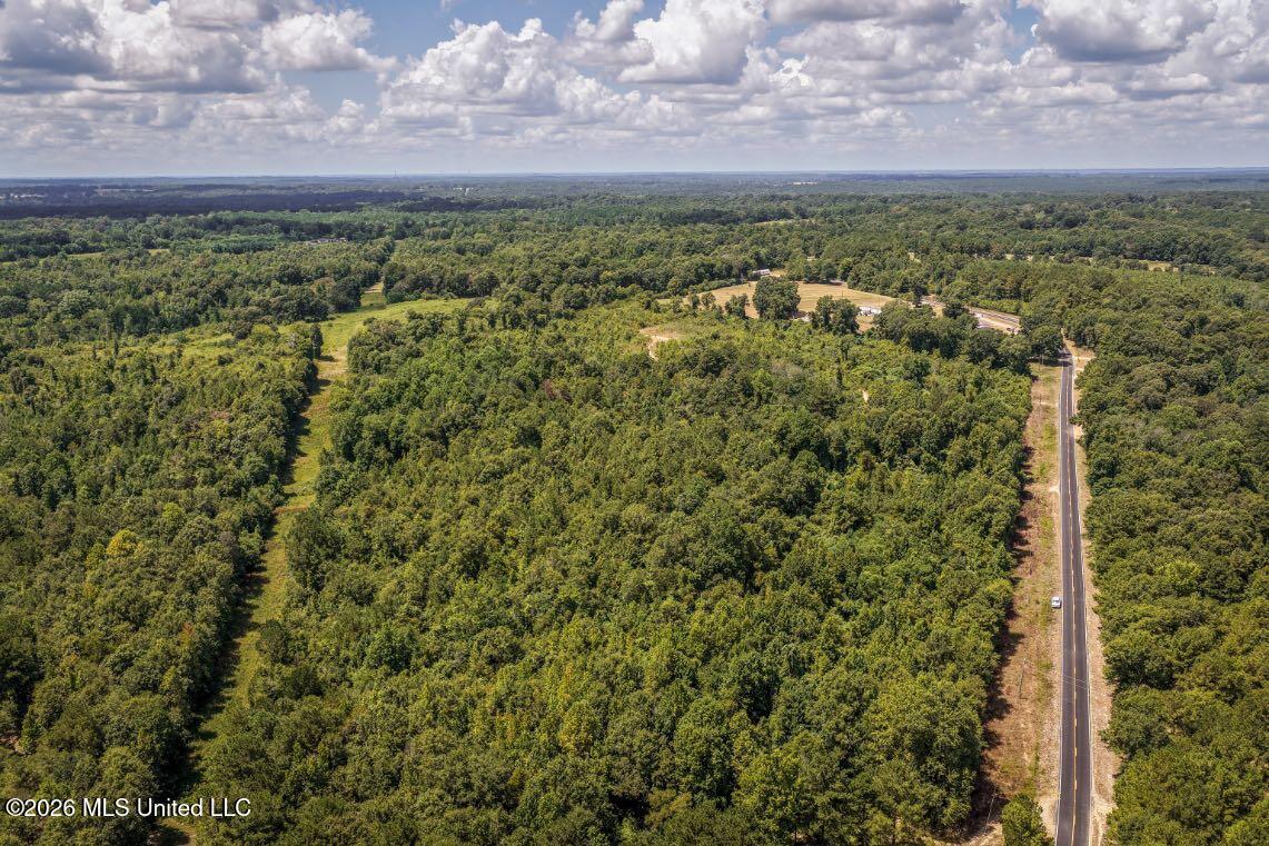 Joe Booth Road Taylorsville, MS 39168 - Photo 29 of 34 DJI_20260813121040_0616_D