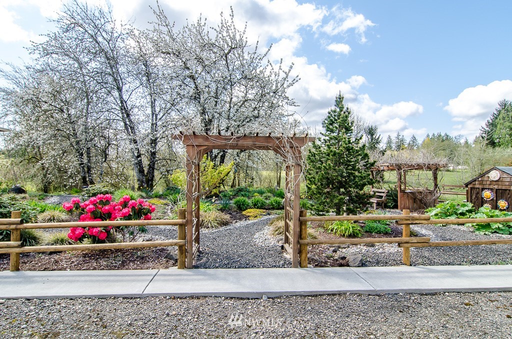 15 South Bank Road Elma, WA 98541 - Photo 23 of 32 a small garden covered with tall trees