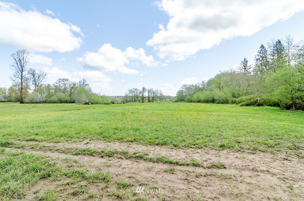 15 South Bank Road Elma, WA 98541 - Photo 28 of 32 a view of a grassy field with trees