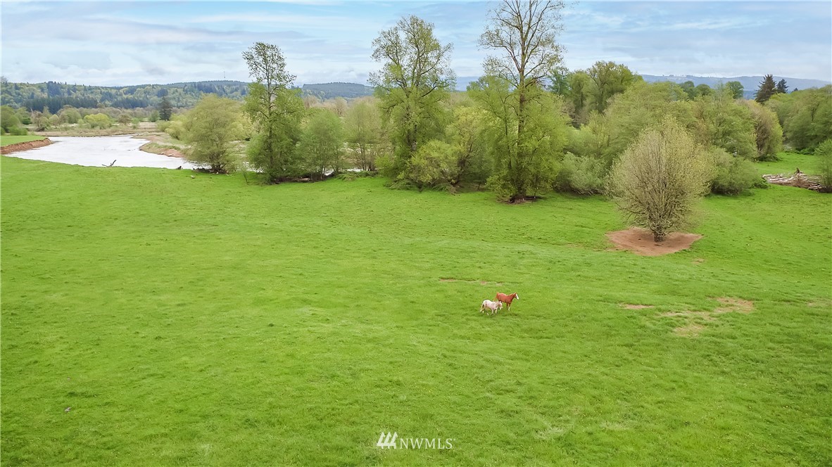 15 South Bank Road Elma, WA 98541 - Photo 30 of 32 a view of a garden with a building in the background