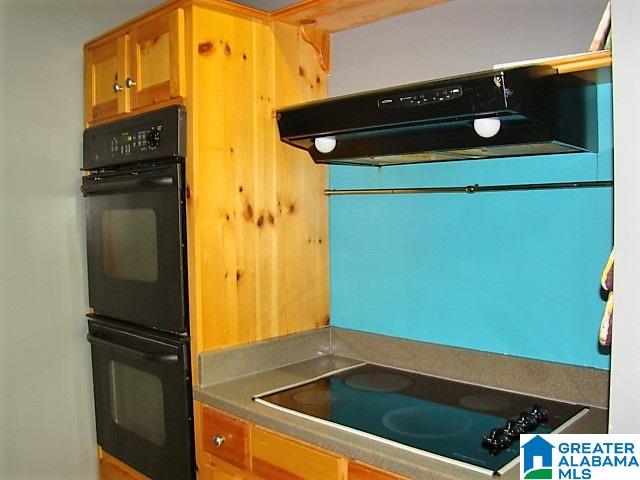 889 Hunter Road Ohatchee, AL 36271 - Photo 13 of 44