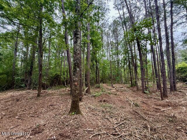 Mt Herman Road Osyka, MS 39657 - Photo 13 of 53 IMG_5389