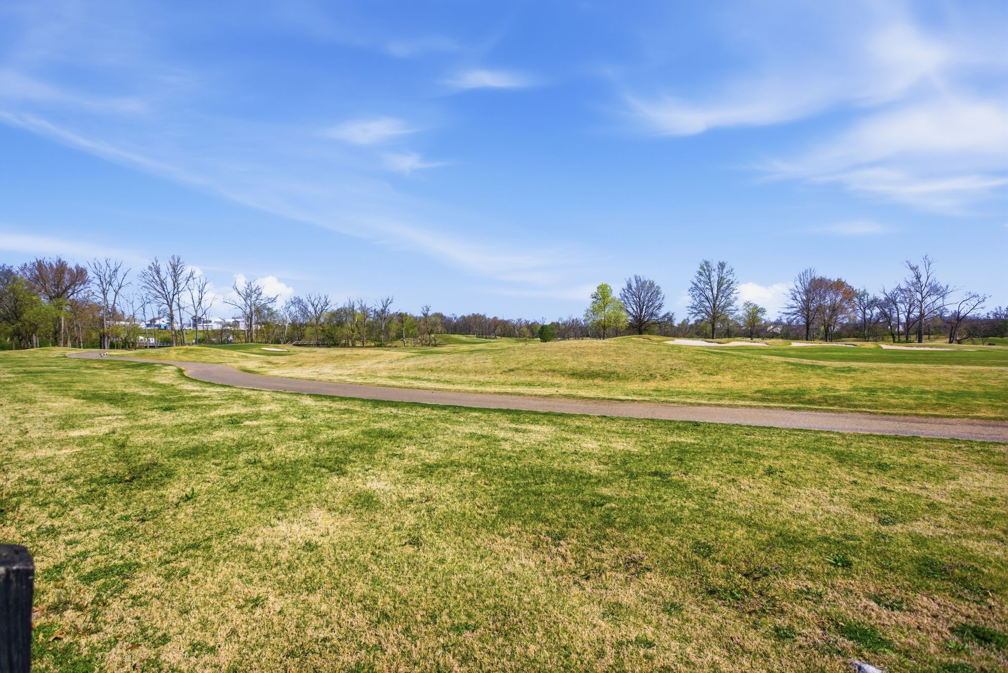 4016 St Andrews Lane Spring Hill, TN 37174 - Photo 47 of 61
