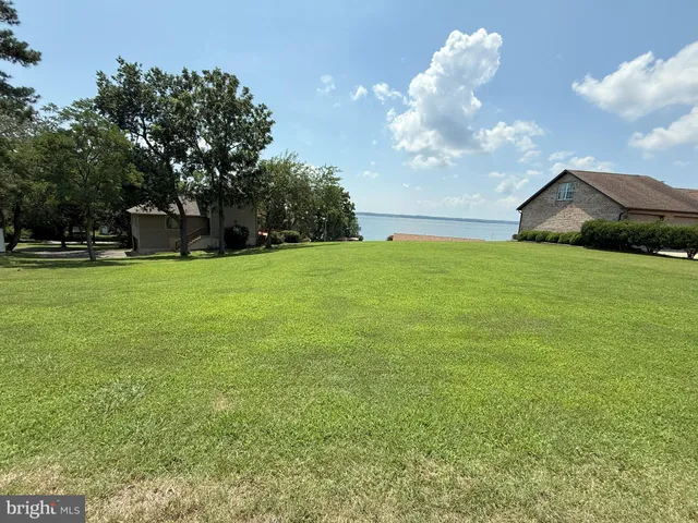 a view of a big yard with plants and large trees